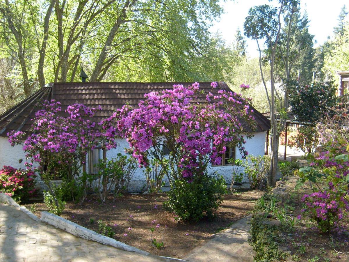 Kings Lodge Hotel Hogsback Exterior foto