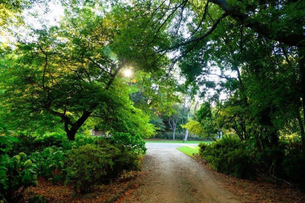 Kings Lodge Hotel Hogsback Exterior foto